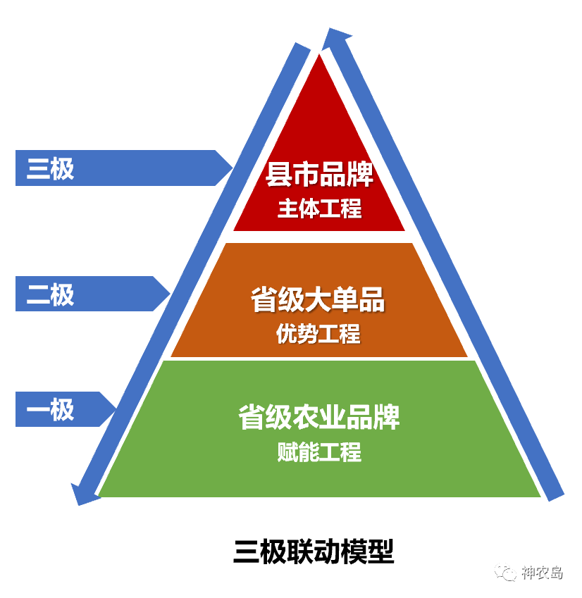 農(nóng)產(chǎn)品區(qū)域公用品牌建設(shè)的“三大紀(jì)律八項(xiàng)注意”品牌管理